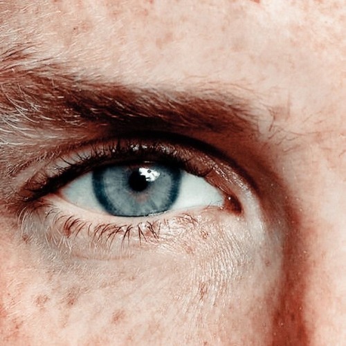 Newt