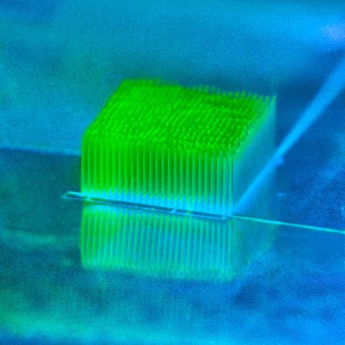 materialsscienceandengineering: 3D-Printed “Nano-Skyscrapers” Help Bacteria Convert Sunlight Into El