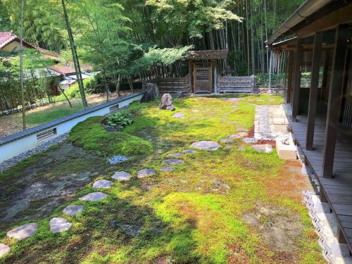 八事山興正寺 竹翠亭庭園 [ 愛知県名古屋市 ] Koshoji Temple Garden, Nagoya, Aichi の写真・記事を更新しました。 ーー国重文の五重塔も残る名古屋の大寺院の茶室は