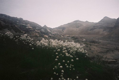 foxmouth:  Landscapes, 2014 | by Carmen Marchena