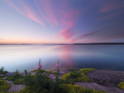 ponderation:  Pink Tranquility by Jarno Nurminen