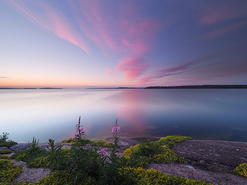 ponderation - Pink Tranquility by Jarno Nurminen