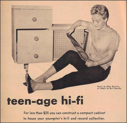1950sunlimited:  Tips for your teenagers record collection. via 