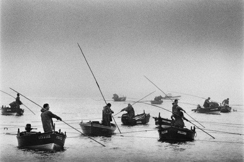 Sebastião Ribeiro Salgado  - Workers