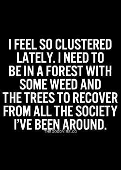 Kushandwizdom