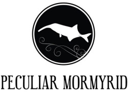 Peculiar Mormyrid is a fledgling, but promising online surrealist journal whose first quarterly issue is set to be released in early June. They are currently accepting submissions from both artists and writers alike for potential inclusion in their