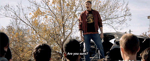 reivenesque:Best of Cobra Kai Part ∞