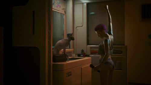 Cat Concert (Private Performance)