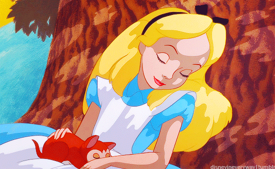 Take Me There to Disneyland