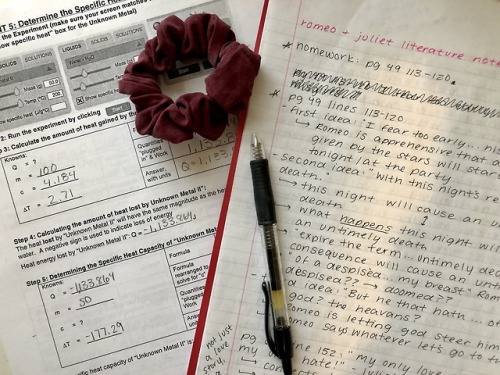 1/100 days of productivity some in class romeo and juliet notes, a physics lab, and a scru