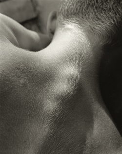 loverofbeauty:  Nicholas Nixon:  Back 