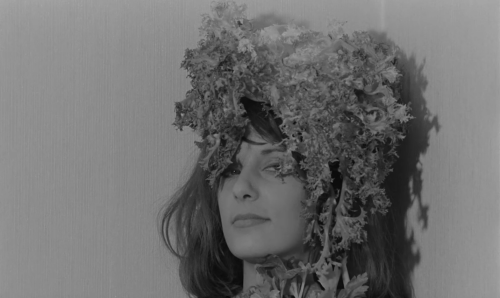 L'Avatar botanique de mademoiselle Flora (1965), dir. Jeanne Barbillon