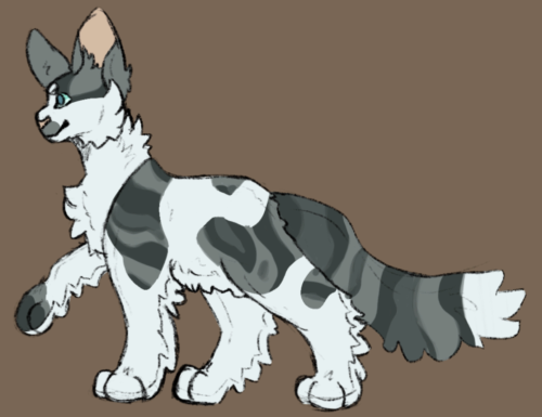 Doodled One Of My Favorite Clan Gen Clans, I Love TornClan So Much, Even If There's Only Four Of The
