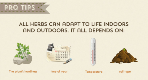 lifemadesimple: The Herb Grower’s Cheat Sheet*Growing seasons and planting information below a