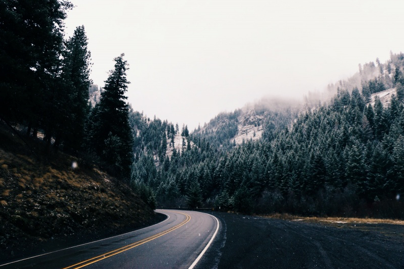 deletingmyself: (by Griffin Lamb) Website | Society6 (Prints) | Tumblr | Instagram