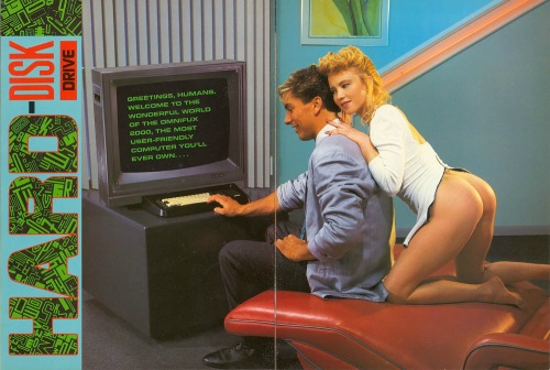 Porn Pics “Hard-Disk Drive” (1988)