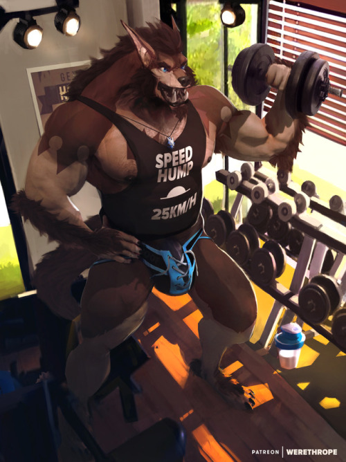 werethropelaporte:  ‘WereJocks™’ -  Do the curls! :9The gym probably needs more members so intensive