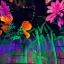 wehadwildflowerfever