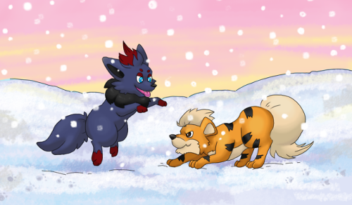 Growlithe and Zorua playing in the snow, by request