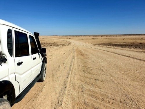 Desert Road Trip, Namibia, Africa. OC, 2019