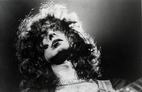um-pouco-azedo:Led Zeppelin 
