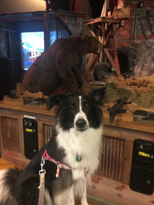 Facing down the bear at Bass Pro.