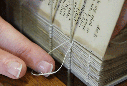 uispeccoll:    Re-sewing a text block on single raised cords upstairs in our conservation lab.