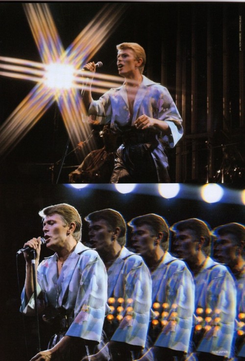 david bowie