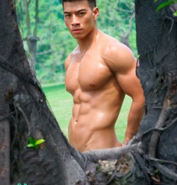 Asian Muscle Fetish