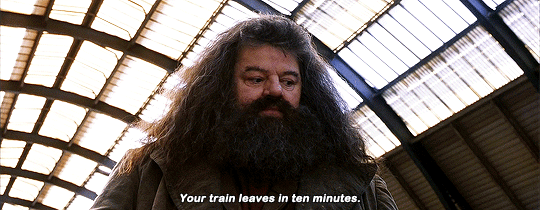 harrypottersource: Every night before he went to sleep, Harry ticked off another