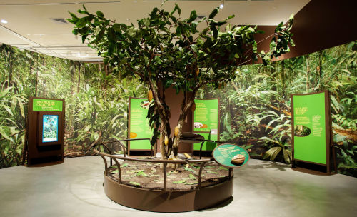 misadventured-piteous-overthrows: paintedgoat: bluerhinostudio: Cacao Tree for the Field Museum&rsqu