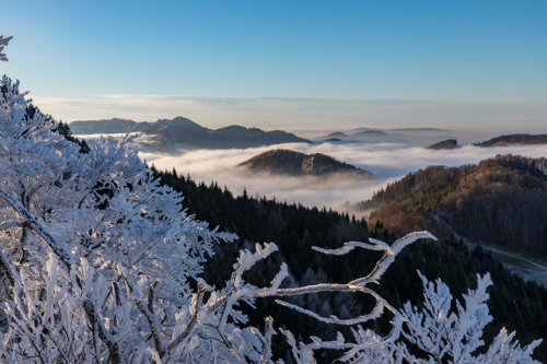 90377:Winter Sunset by Thilo Frey