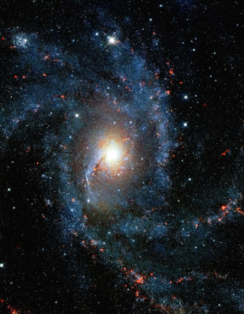 NGC 6946 Fireworks Galaxy