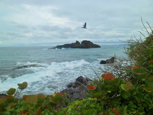 Capurgana / Playa Soledad / Necoclí - Octubre de 2017