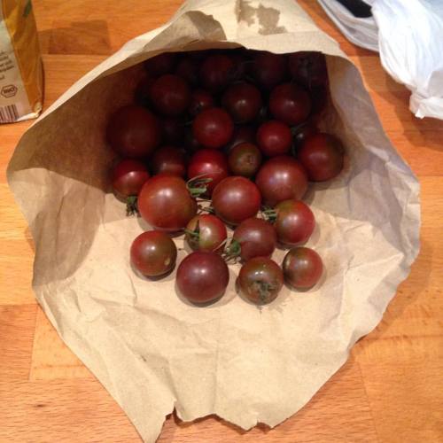 Black cherry tomatoes in their little carry-home paper cone from the market #iloveeurope #Berlin #fa