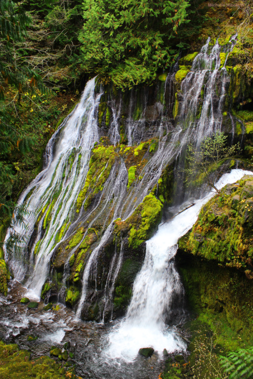 bright-witch: Hidden Falls, Washington, photography by me. Please do not remove credit!