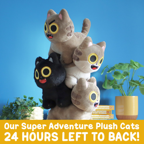 Our Super Cat Plush Kickstarter ends in less than 24 hours!Head over to sarahgraley.com/kick right n