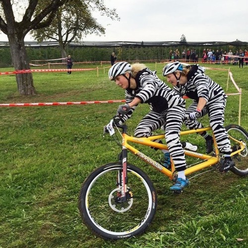 retrovelocycling: Tandem skillz AND zebra-onesies! @jolandaneff and @kathrinstirnemann showing us ho