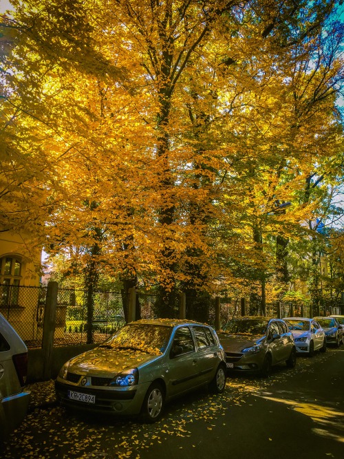 Kraków, Polska