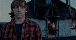 harrypottzr:    Everyone expects me to do as well as the others, but if I do, it’s no big deal, because they did it first.   