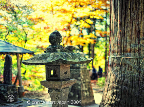 Japan in Autumn at Momiji Yama Shrine