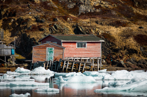 The beauty of Newfoundland and Labrador - may 2019