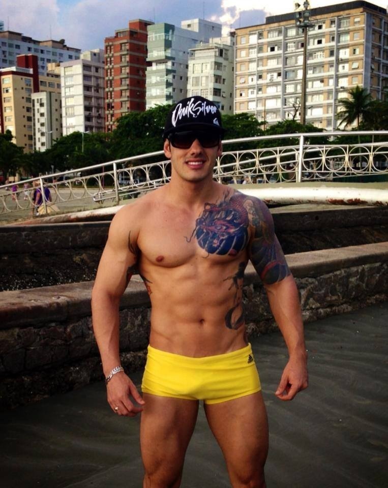bulgebrasil:   Gatos bulgebrasil 
