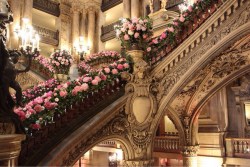 adoringrose:  Opera Garnier in Paris, France.