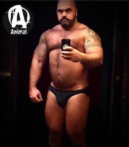 nippig:  http://nippig.tumblr.com/archive