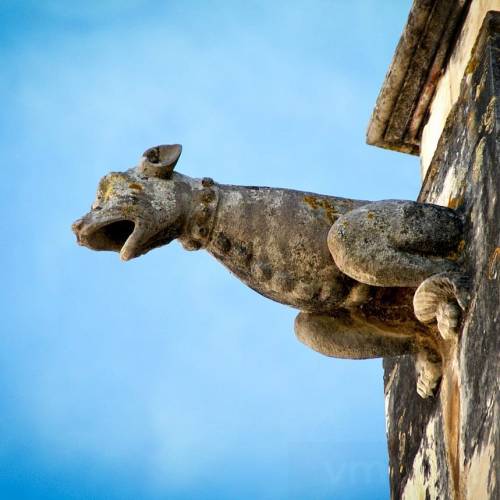 #gargoyle #gargula #batalha #monastery #mosteirodabatalha #gothicstyle #portugal #sonya350 #vmribeir