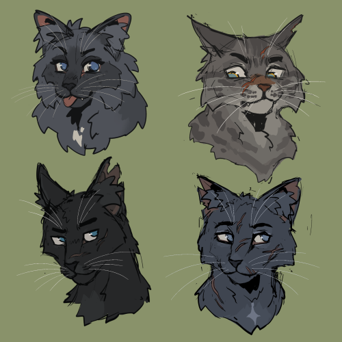 Four cat headshots, each with different shades and patterns of gray fur and blue eyes. In the top left is Cinderpelt, a dark gray point cat. Top right is Ashfur, a gray spotted tabby with a grimacing expression. Bottom right is Bluestar, a light gray cat with scars on her face. Bottom left is Crowfeather, a wiry dark gray cat with big ears.