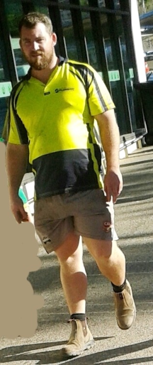 tradiewatch: Tradie in Airlie Beach