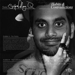 themesaya:  My collection of Aziz Ansari photoshopped onto album covers 