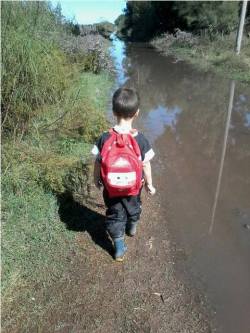 viejostiemposdeadiccion:  Titi y sus botas mágicas.Me detuve un minuto en esta imagen. Observé, pensé, y soñé un momento, imaginándome cerca. Como parte del agua que lo rodea. Y Titi, va al jardín. Si. Y va porque le gusta, porque quiere, porque